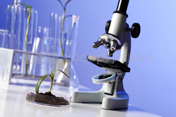 生物學實驗室中的綠色植物 推動自然科學研究與試驗發(fā)展的生態(tài)引擎